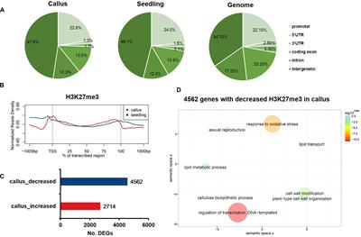 Systematic Analysis of Differential H3K27me3 and H3K4me3 Deposition in Callus and Seedling Reveals the Epigenetic Regulatory Mechanisms Involved in Callus Formation in Rice